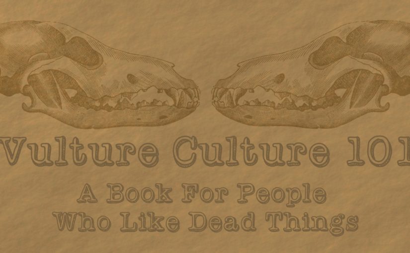 Coming Soon: The Vulture Culture 101 IndieGoGo Campaign!